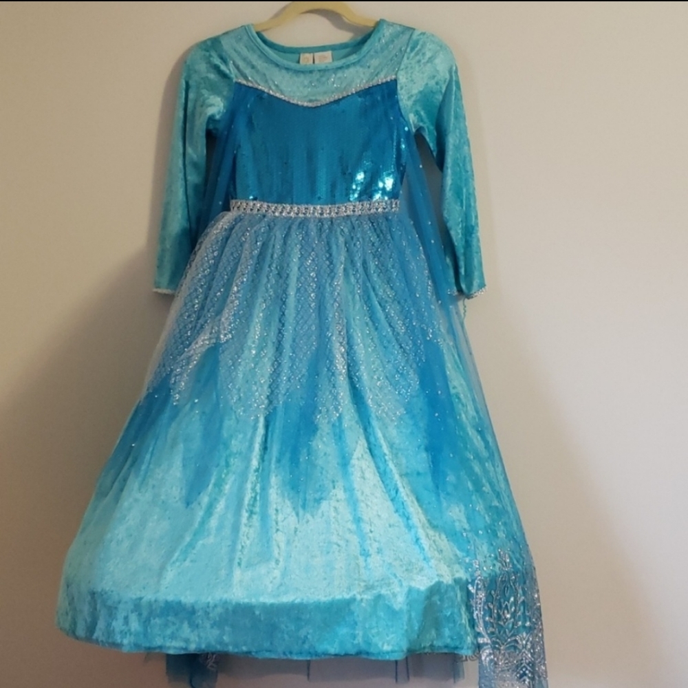 Cinderella Elsa Blue Deluxe Costume Dress